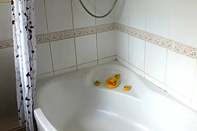 Bath with shower over