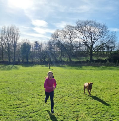 The exercise field for dogs at Higher Tregawne